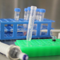 Výskum a vývoj Výskum a vývoj